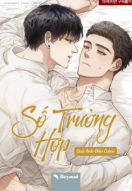 Số Trường Hợp