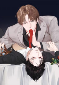 Vỏ Bọc Hoàn Hảo